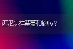 盆栽荷花怎样养护-花卉苗木养护管理
