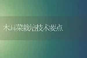 木耳菜栽培技术要点