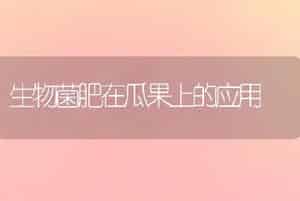 中国最红红香梨