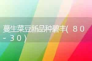 蔓生菜豆新品种碧丰(80-30)