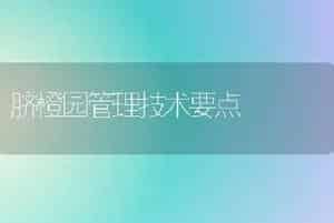 脐橙园管理技术要点