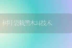 树叶袋栽黑木耳技术