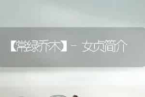 【常绿乔木】-女贞简介