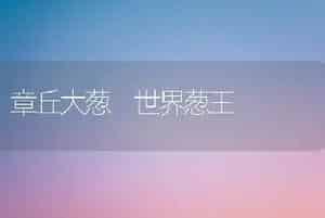章丘大葱 世界葱王