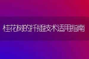 桂花树的扦插技术适用指南