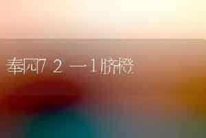 奉园72一１脐橙