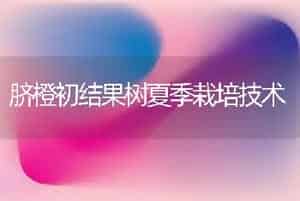 脐橙初结果树夏季栽培技术