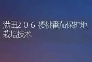 中国兰花有哪些种类