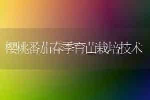 樱桃番茄春季育苗栽培技术