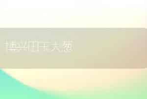 博兴田玉大葱