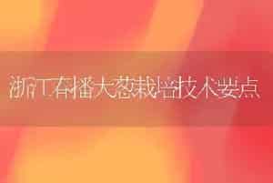 浙江春播大葱栽培技术要点