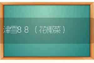 地栽黑木耳