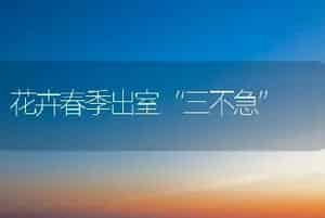 玫瑰栽培管理六要点