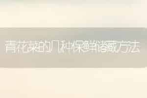 青花菜的几种保鲜储藏方法