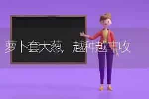 萝卜套大葱,越种越丰收