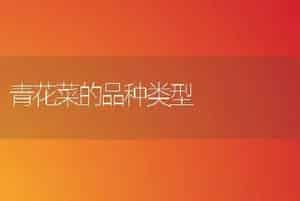 青花菜的品种类型