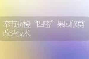奉节脐橙“四密”果园修剪改造技术