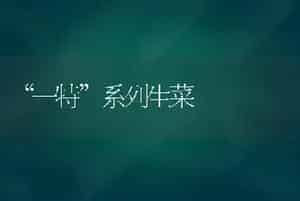 “一特”系列生菜