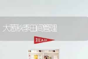 大葱秋季田间管理