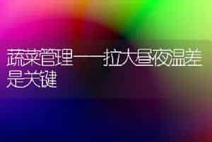 蔓生菜豆新品种碧丰(80-30)?