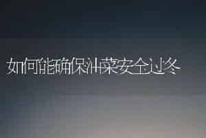 [品种介绍] 木耳的生物学特性