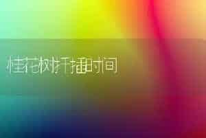桂花树扦插时间