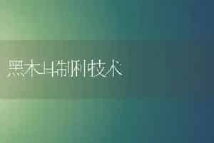 黑木耳制种技术