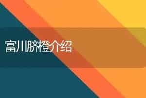 富川脐橙介绍