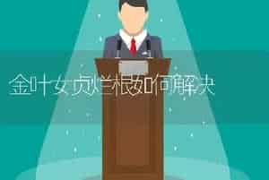 金叶女贞烂根如何解决