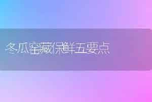 桂花品种介绍