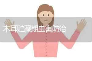 木耳贮藏期虫害防治