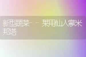 女贞价值用途