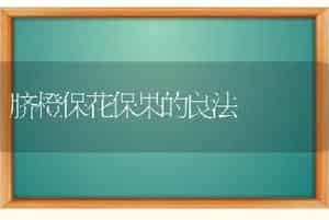 脐橙保花保果的良法