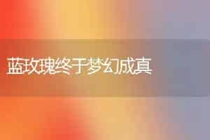 蓝玫瑰终于梦幻成真