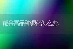 郁金香品种退化怎么办
