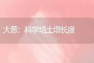 大葱：科学培土增长度