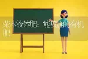生菜栽培技术要点