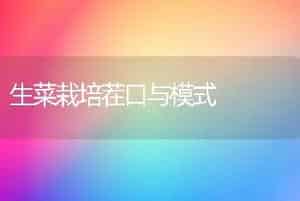 生菜栽培茬口与模式