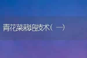 青花菜栽培技术(一)