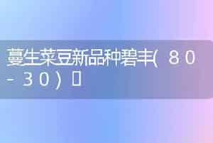 蔓生菜豆新品种碧丰(80-30)