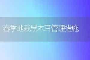 春季地栽黑木耳管理措施