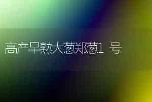 高产早熟大葱郑葱1号