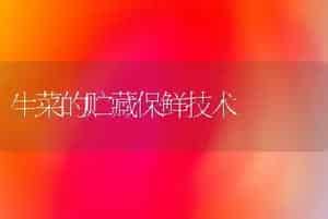 生菜的贮藏保鲜技术