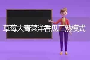 草莓大青菜洋香瓜三熟模式