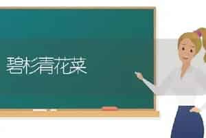 碧杉青花菜