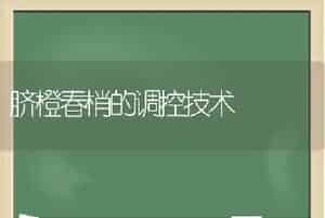 脐橙春梢的调控技术