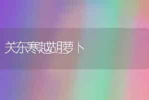 玫瑰棚室栽培管理技术