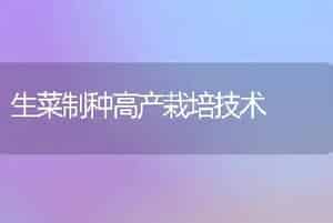 生菜制种高产栽培技术