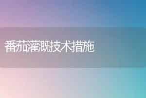 番茄灌溉技术措施