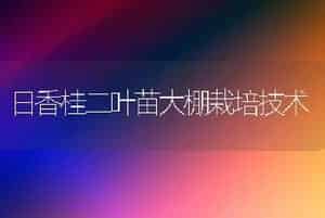日香桂二叶苗大棚栽培技术